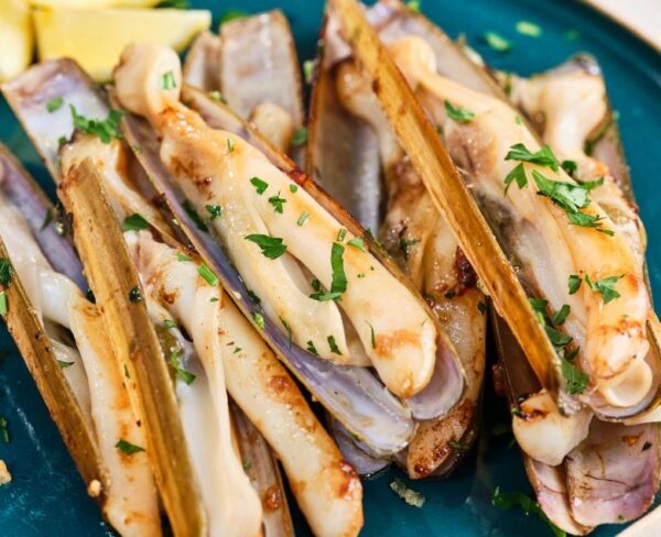 Navajas